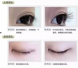 日韩睫毛美甲视频在线看,睫毛美甲视频教程在线观看指南