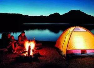 日韩露营装扮视频大全在线观看