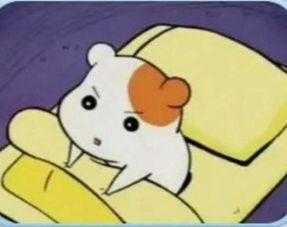 仓鼠管家无码在线,无码生活背后的温馨故事